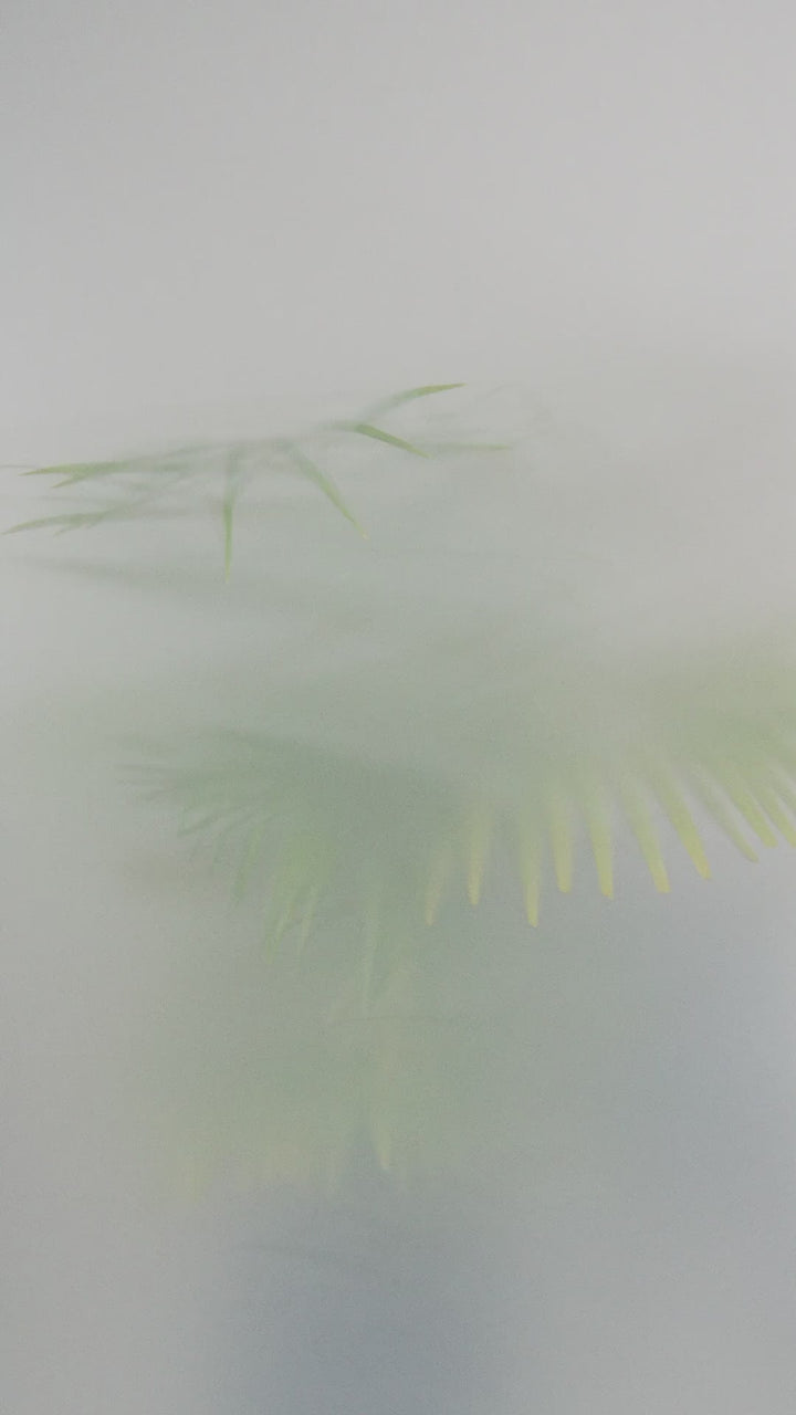 NAYA Embossed Jacquard & Contrast Sections Top